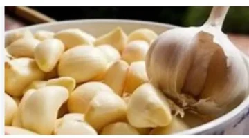 أقوى الأطعمة الشتوية.. قائمة غذائية تعزز مناعة الجسم ضد أمراض عام 2026